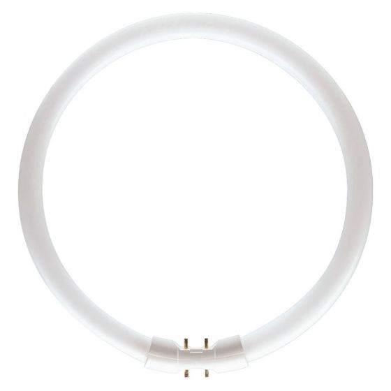 Image of Philips CIRC55840 T5 Circular 55W Cool White Triphosphor Tube 16mm