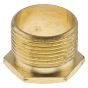 Image of 2 Inch Male Brass Bush Long Reach Conduit Accessory Each