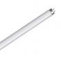Image of Avenue Spare Insect Killer Light Bulb 10 Watt T5 344mm UV Fluorescent Tube
